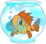 animated gifs Aquariums 4