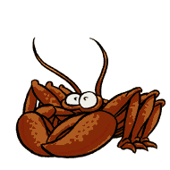 animated-gifs-crabs-041.gif