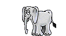 animated gifs elephants 7