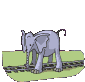 animated gifs elephants 8