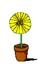 animated gifs Flowers 2