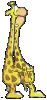 animated gifs giraffes 11