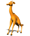 animated gifs giraffes 7