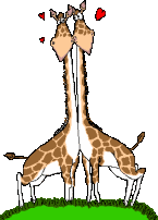 animated gifs giraffes 1