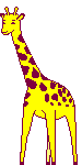 animated gifs giraffes 12