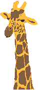 animated gifs giraffes 8