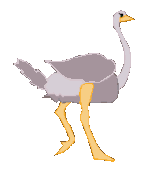 animated gifs ostriches 8