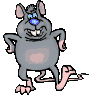 animated gifs rats