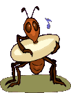 Download free Ants animated gifs 24