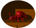 Download free Ants animated gifs 7