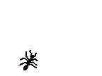 Download free Ants animated gifs 2