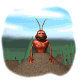 Download free Ants animated gifs 27