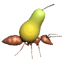 Download free Ants animated gifs 14