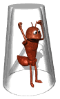 animated gifs Ants