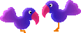 animated gifs birds