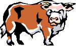 animated gifs bulls