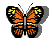 Download free butterflies animated gifs 18