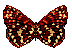 Download free butterflies animated gifs 3