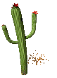 Download free cactuses animated gifs 15