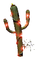 Download free cactuses animated gifs 13