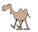 Download free camels animated gifs 7