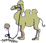 Download free camels animated gifs 2