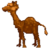 Download free camels animated gifs 23