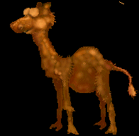 Download free camels animated gifs 20