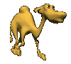 Download free camels animated gifs 18