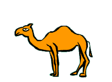 Camels animated GIFs