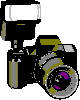 animated gifs cameras