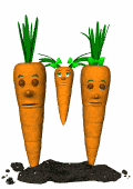 Download free carottes animated gifs 7