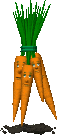 animated gifs carottes