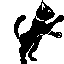 animated gifs cats