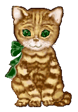 Download free cats animated gifs 27