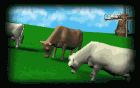 Download free cows animated gifs 8