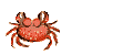 Download free crabs animated gifs 1