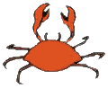 Download free crabs animated gifs 12