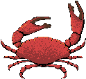 Download free crabs animated gifs 7