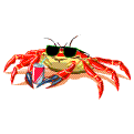 Download free crabs animated gifs 4