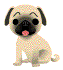 Download free dogs animated gifs 18