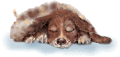 Download free dogs animated gifs 4