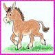 Download free donkeys animated gifs 3