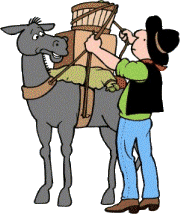Download free donkeys animated gifs 2
