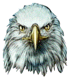 Download free eagles animated gifs 5