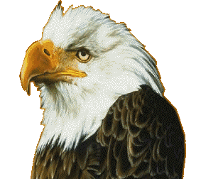 Download free eagles animated gifs 3