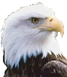 Download free eagles animated gifs 2