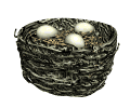 Download free eggs animated gifs 10