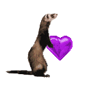 Download free ferrets animated gifs 25
