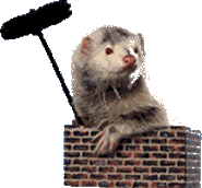 Download free ferrets animated gifs 24